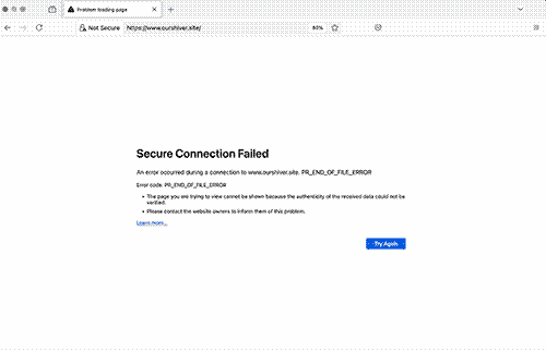 screenshot of a browser window showing a site cannot load message